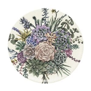 Prato Raso Suculenta-SM